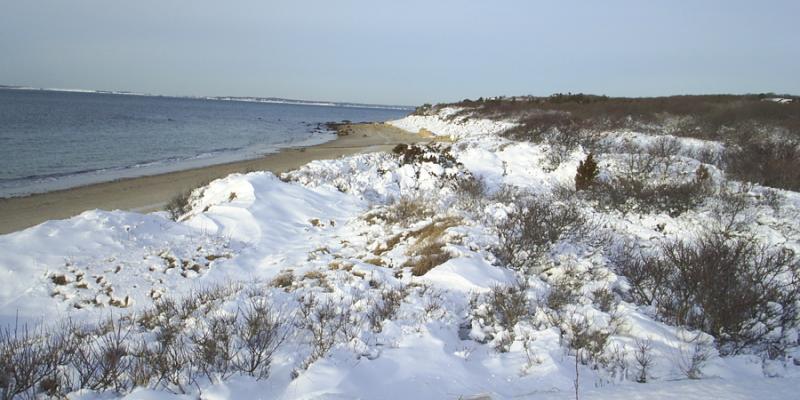 Seaside in Winters by Alex Geothals